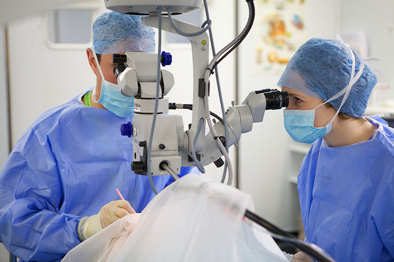 oftalmólogos en proceso de cirugia laser 